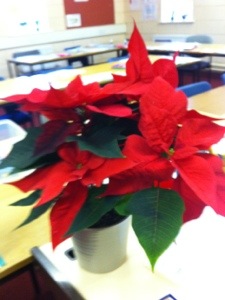 20121211-100519 PM.jpg