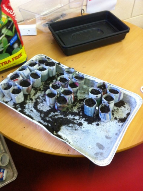 20130107-065334 PM.jpg