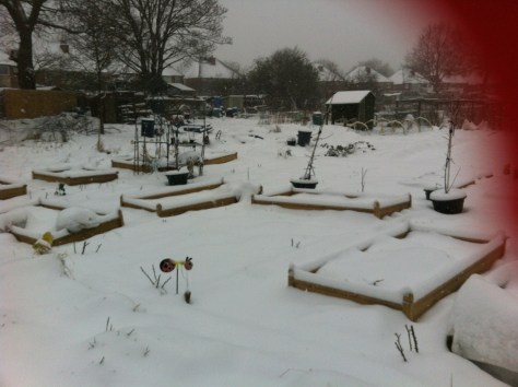 20130118-120956 PM.jpg