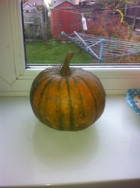 20130126-062403 PM.jpg