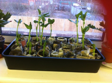 20130227-013754 PM.jpg