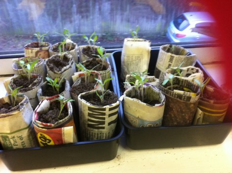 20130308-071048 PM.jpg