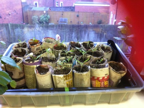 20130308-071114 PM.jpg