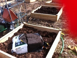 20130417-035516 PM.jpg