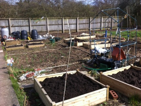 20130417-035533 PM.jpg