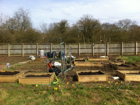 20130417-035607 PM.jpg