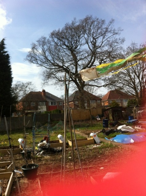 20130417-035633 PM.jpg