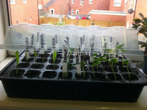 20130425-065835 PM.jpg