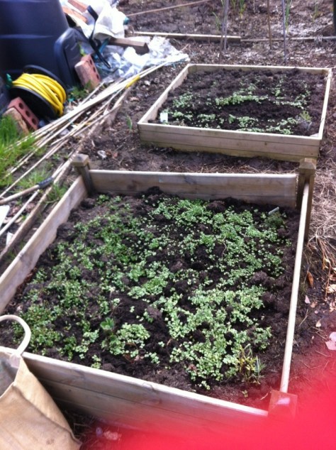 20130504-045718 PM.jpg