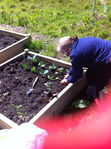 20130504-045745 PM.jpg