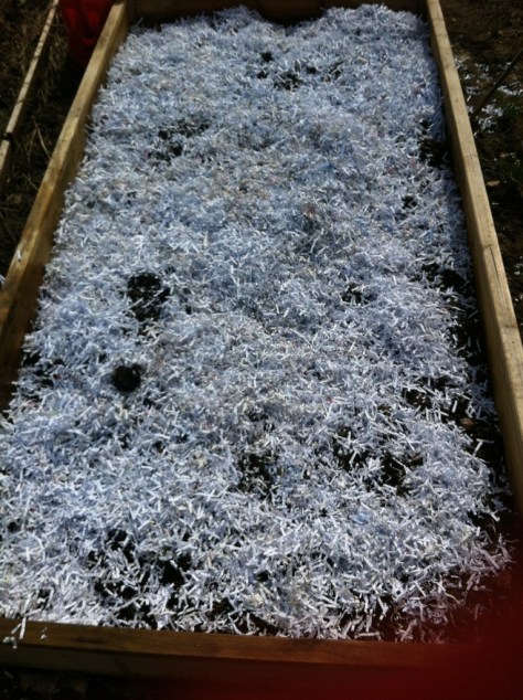 20130504-045832 PM.jpg