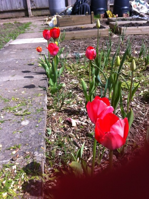 20130504-045911 PM.jpg