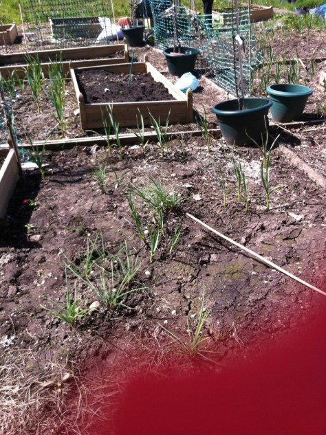 20130504-045935 PM.jpg