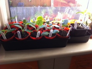 20130504-081711 PM.jpg