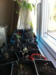 20130507-082009 PM.jpg