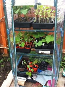 20130510-070333 PM.jpg