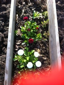 20130513-062601 PM.jpg