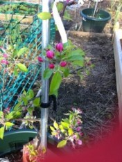 20130513-062618 PM.jpg