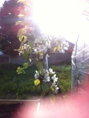 20130513-062649 PM.jpg