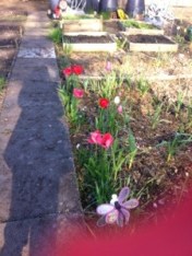 20130513-062725 PM.jpg