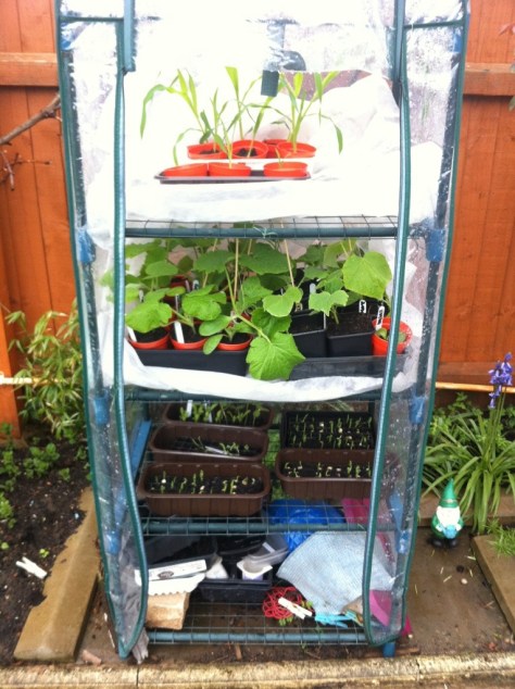 20130515-123642 PM.jpg