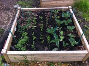 20130517-070354 PM.jpg