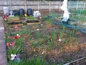 20130519-081351 PM.jpg