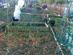 20130519-081401 PM.jpg