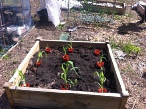 20130525-043323 PM.jpg