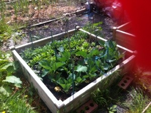 20130531-024140 PM.jpg