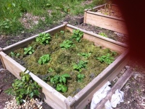 20130531-024235 PM.jpg