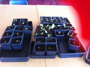 20130603-061452 PM.jpg