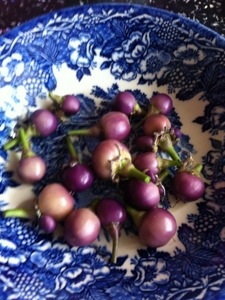 20130728-014856 PM.jpg