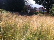 20130728-042031 PM.jpg