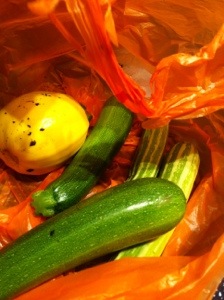 20130805-101040 PM.jpg