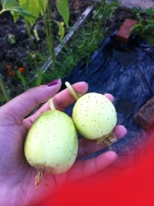 20130806-065003 PM.jpg