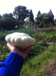 20130815-053721 PM.jpg