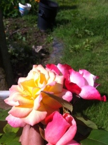 20130820-121659 PM.jpg