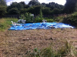 20130820-122228 PM.jpg