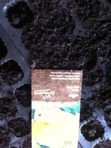 20130823-010410 PM.jpg