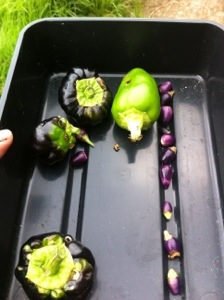 20130825-032204 PM.jpg