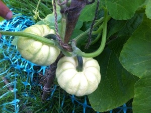 20130828-063826 PM.jpg