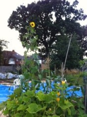 20130829-080227 PM.jpg