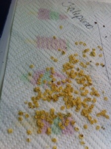 20130830-081058 PM.jpg