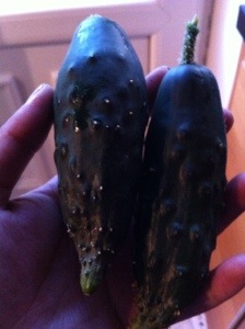 20130904-074221 PM.jpg