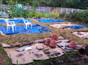 20130907-063752 PM.jpg