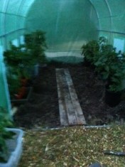 20130907-084758 PM.jpg