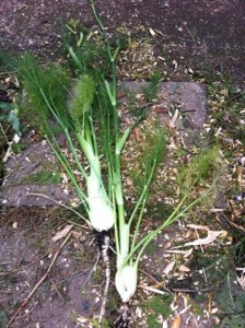 20130908-061806 PM.jpg