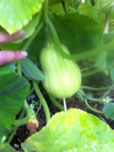 20130911-060154 PM.jpg