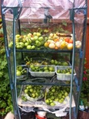 20130914-011514 PM.jpg